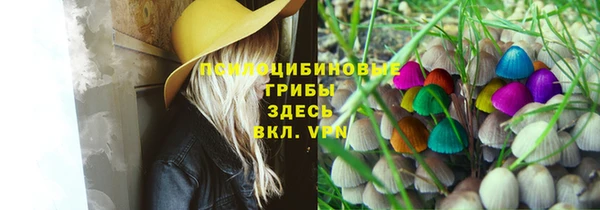 МДПВ Аркадак