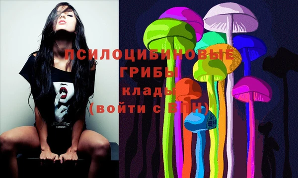 крисы Арсеньев