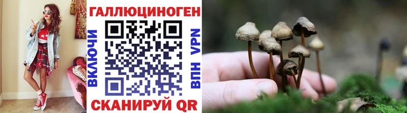 Псилоцибиновые грибы ЛСД  купить наркотики цена  ОМГ ОМГ зеркало  Теберда 